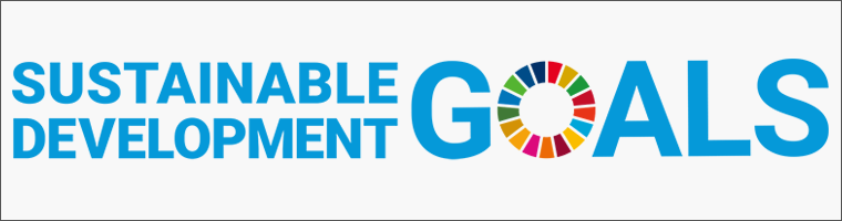 sdg_logo